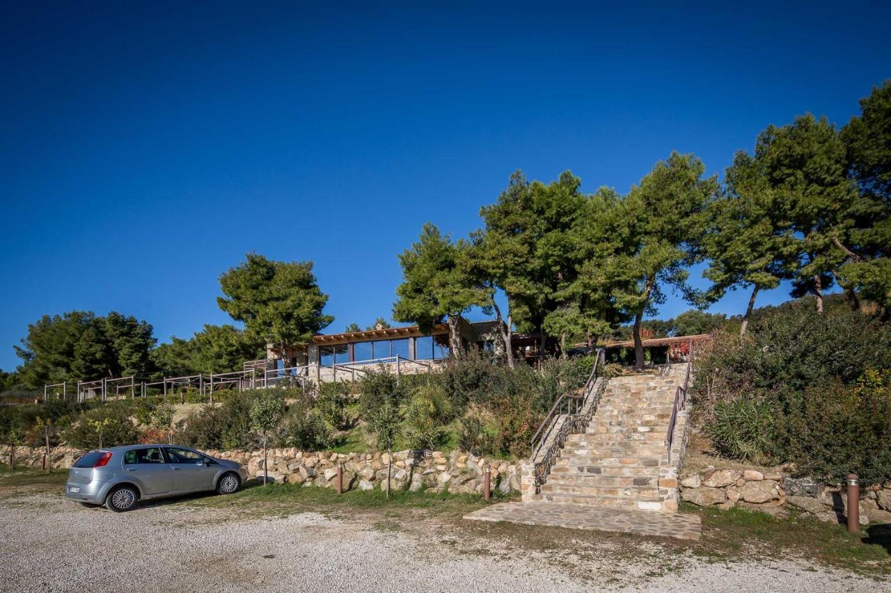 Masseria Agriturismo Torre Di Albidona Trebisacce Exteriör bild