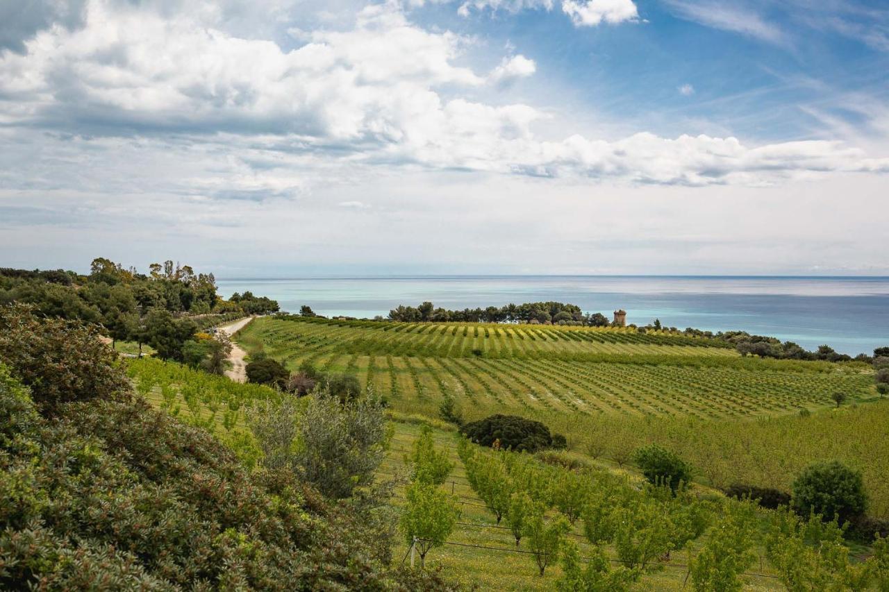 Masseria Agriturismo Torre Di Albidona Trebisacce Exteriör bild