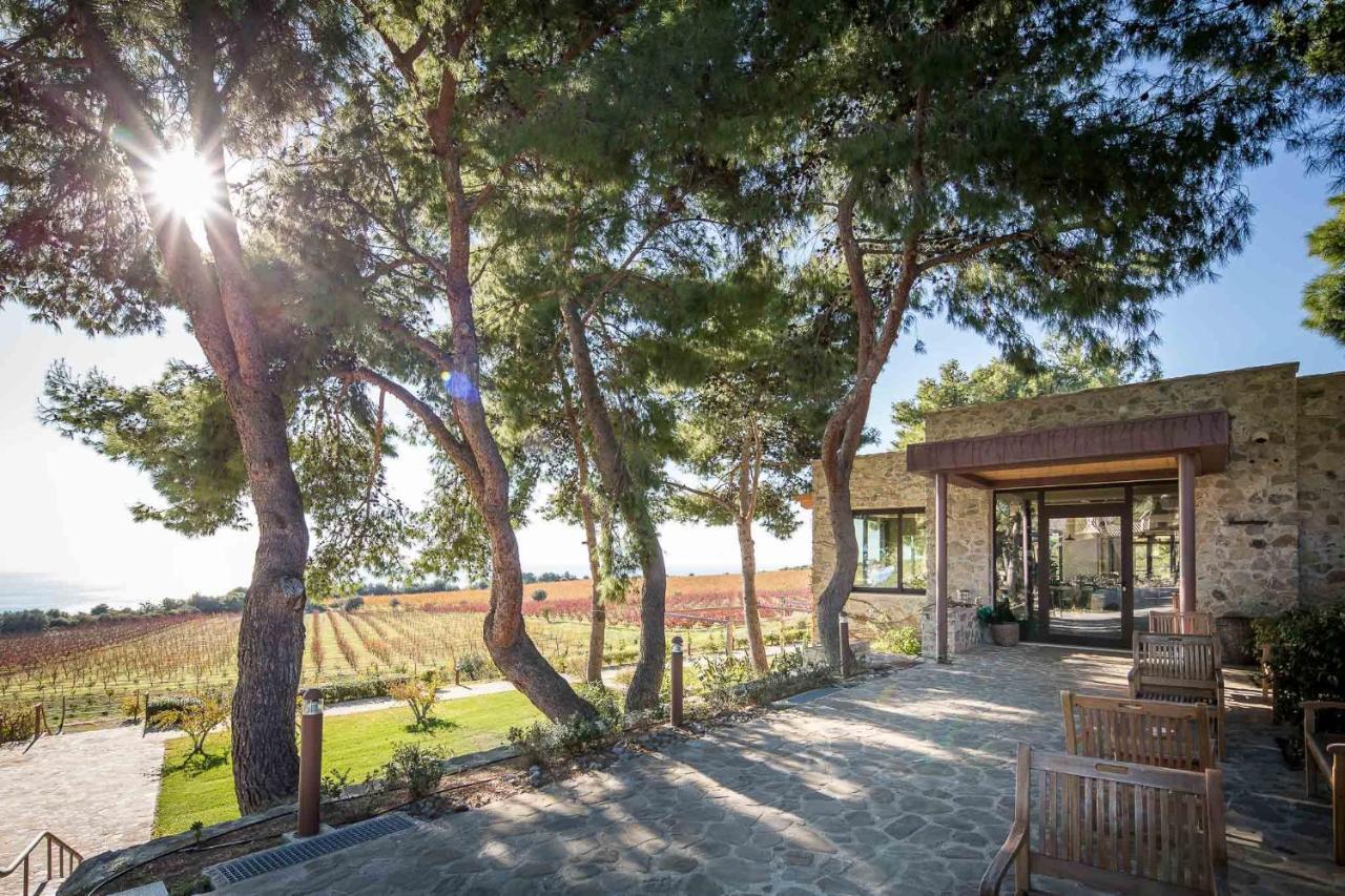 Masseria Agriturismo Torre Di Albidona Trebisacce Exteriör bild